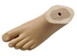 prosthetic orthotic component wheelchair